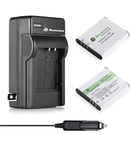 Amazon.com : Pentax D-BC8 (A) Battery Charger for the DL18